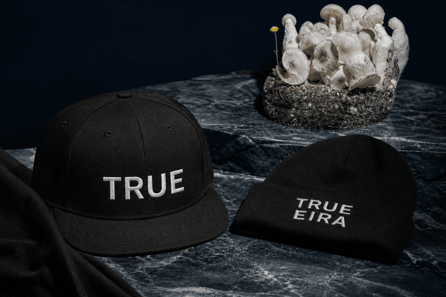 TRUE Snapback in the True Eira Living Field Index campaign