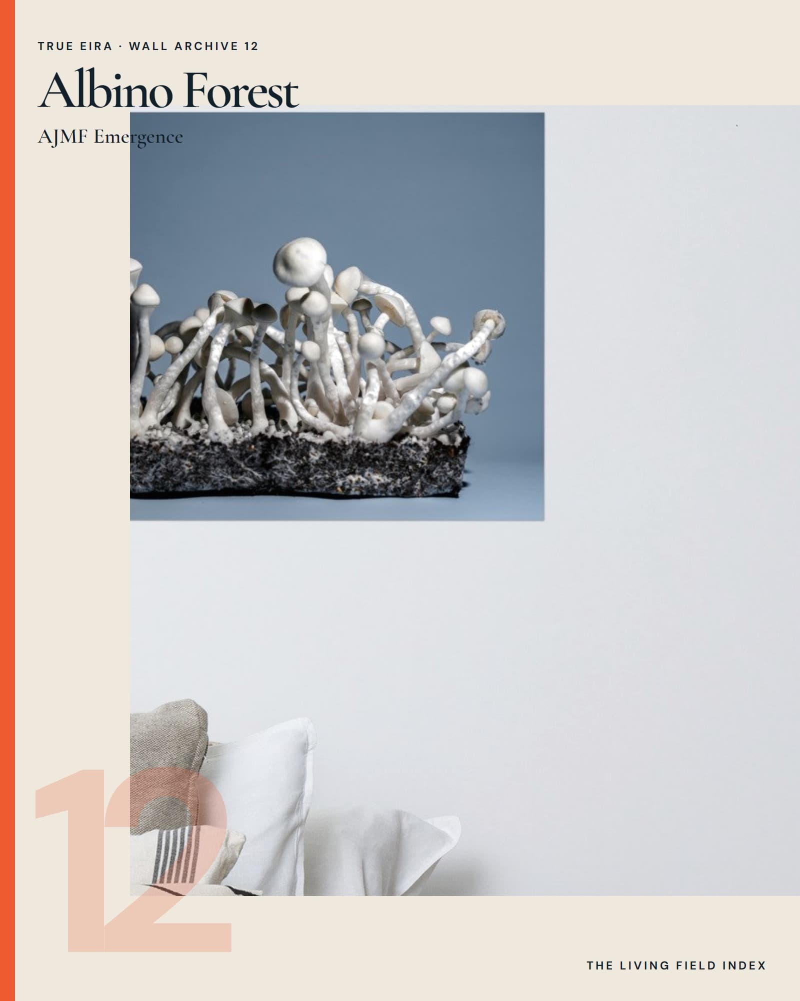 Albino Forest — AJMF Emergence in the True Eira Living Field Index campaign