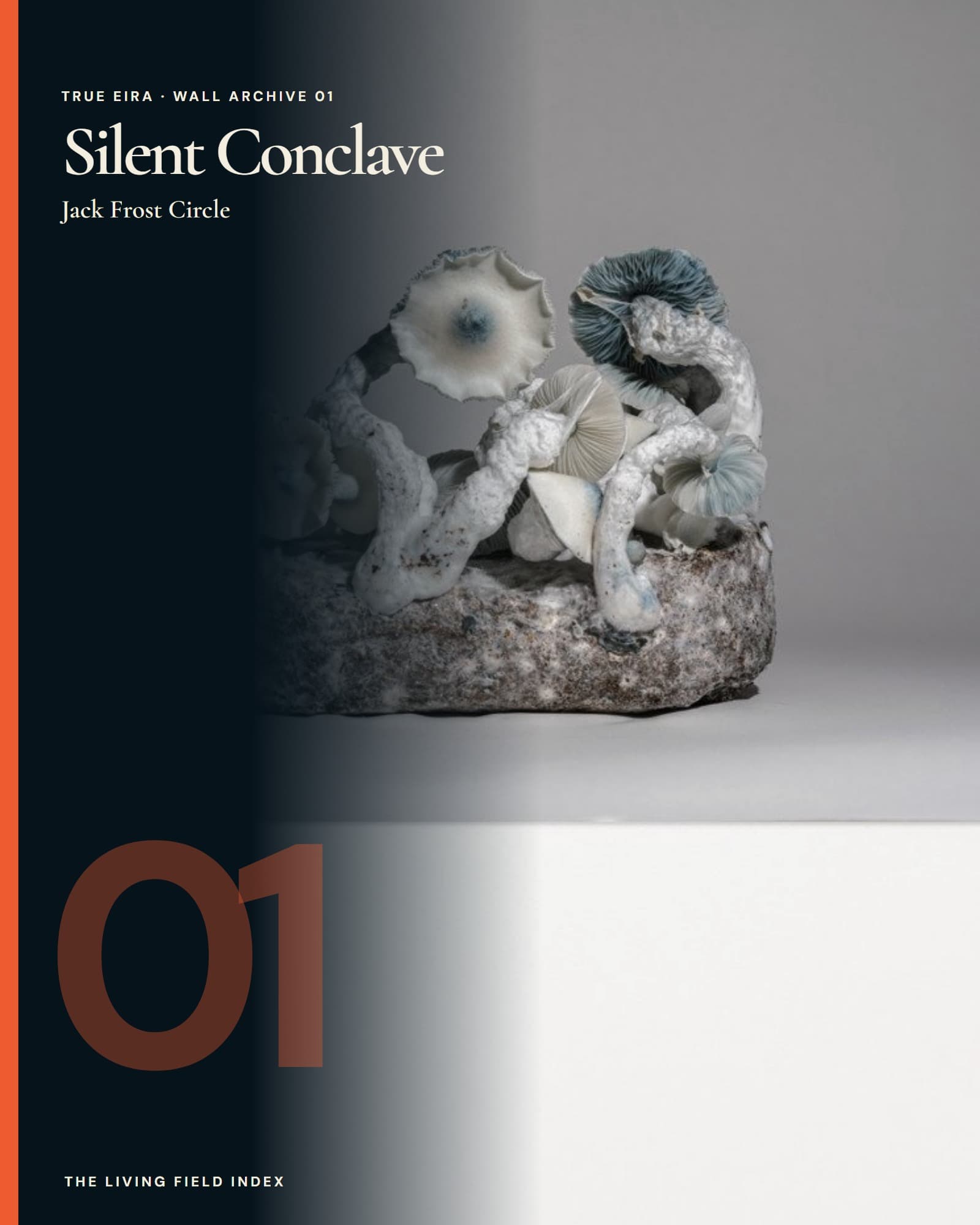 Silent Conclave — Jack Frost Circle in the True Eira Living Field Index campaign