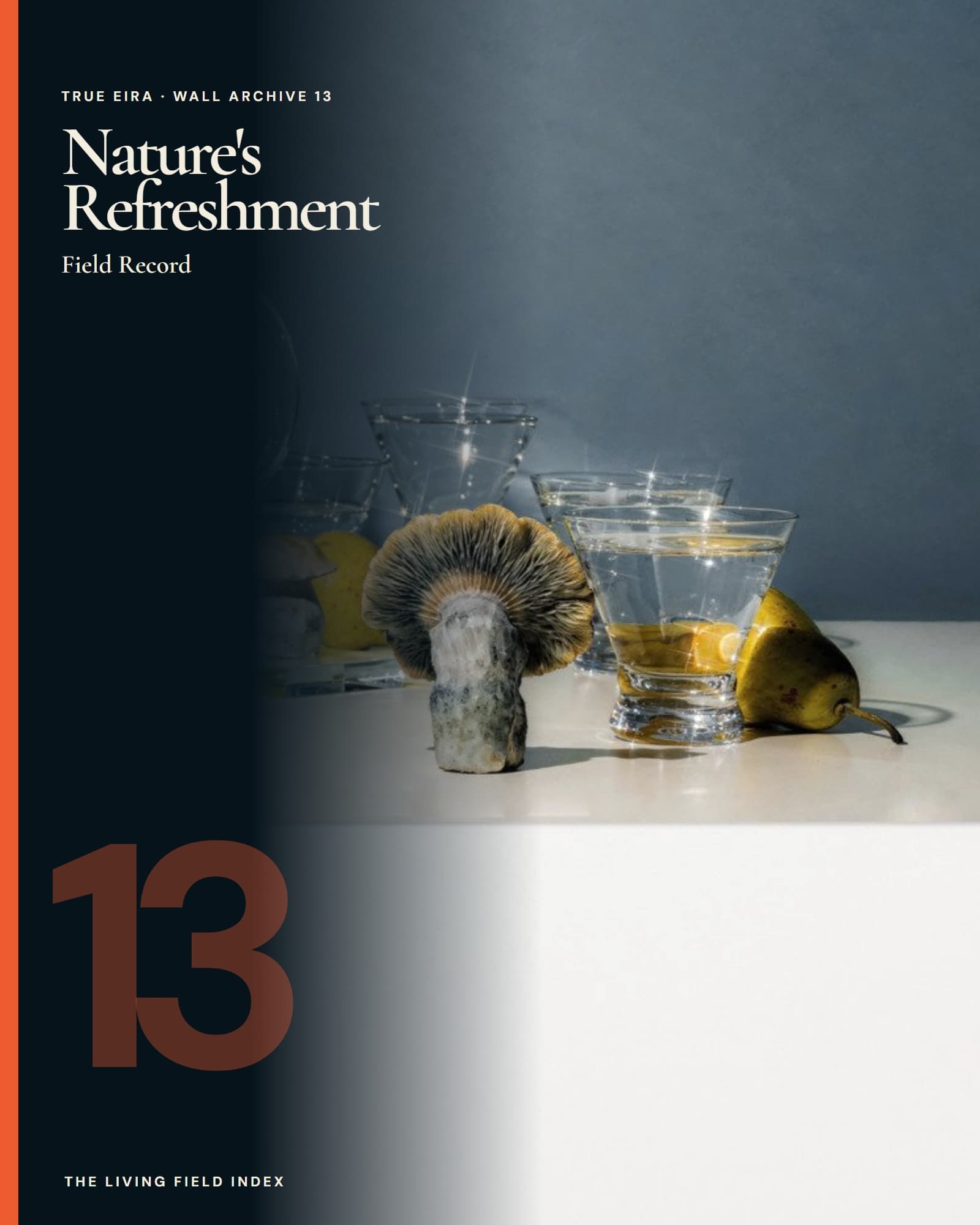 Nature’s Refreshment in the True Eira Living Field Index campaign