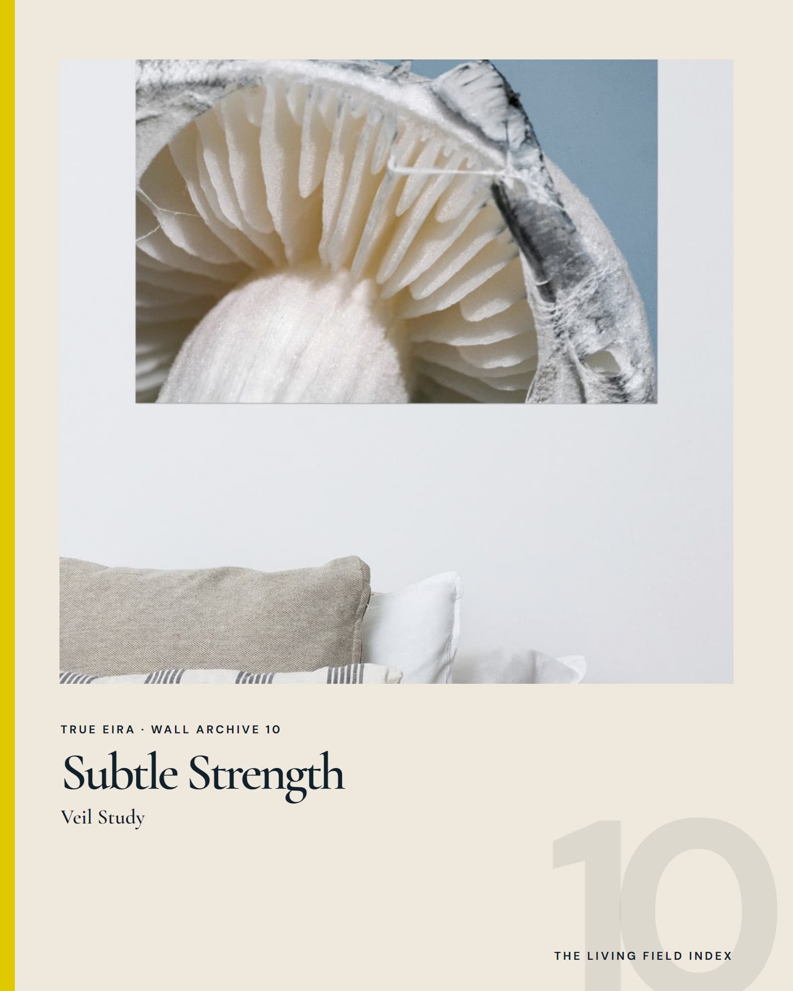 Subtle Strength — Veil Study in the True Eira Living Field Index campaign