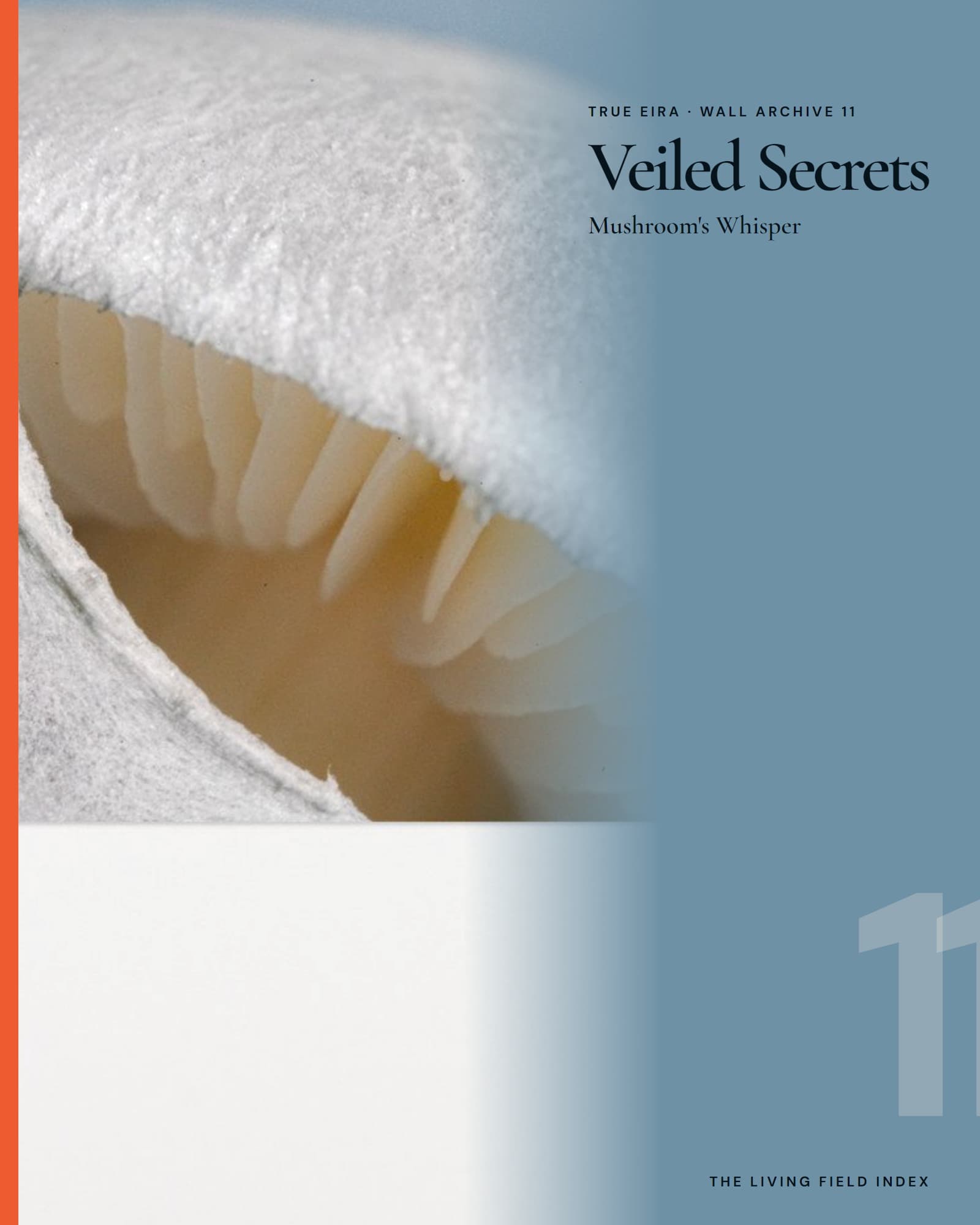 Veiled Secrets — Mushroom’s Whisper in the True Eira Living Field Index campaign
