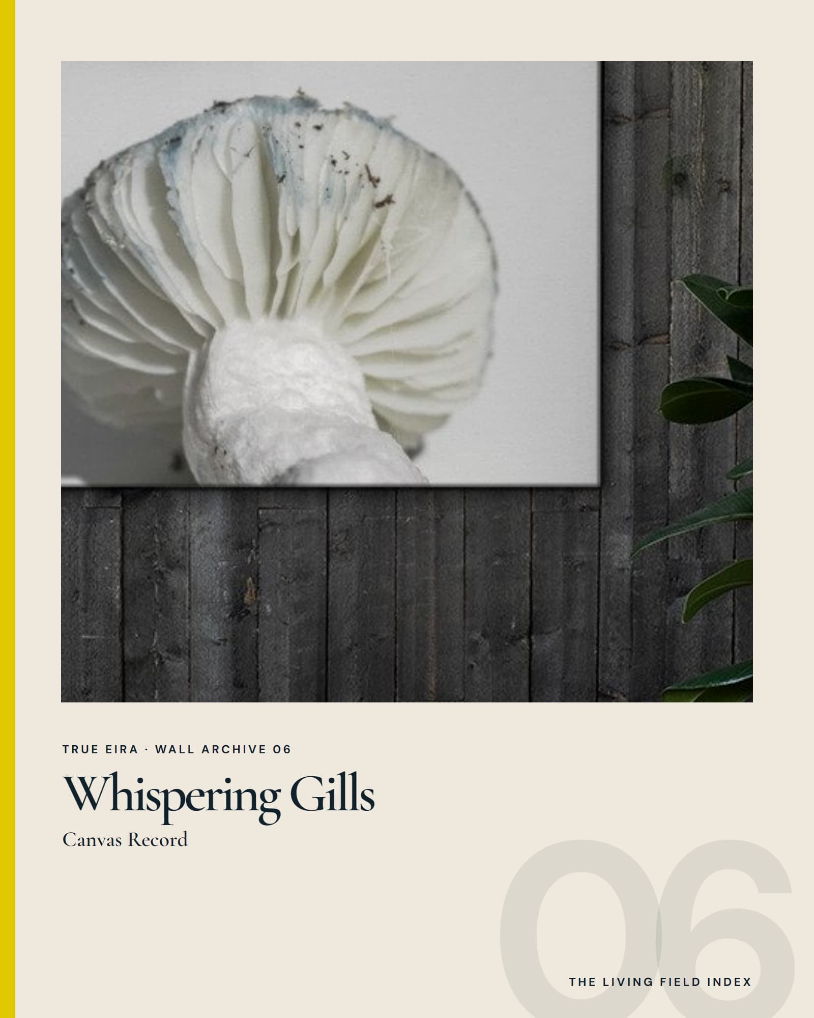 Whispering Gills Canvas in the True Eira Living Field Index campaign