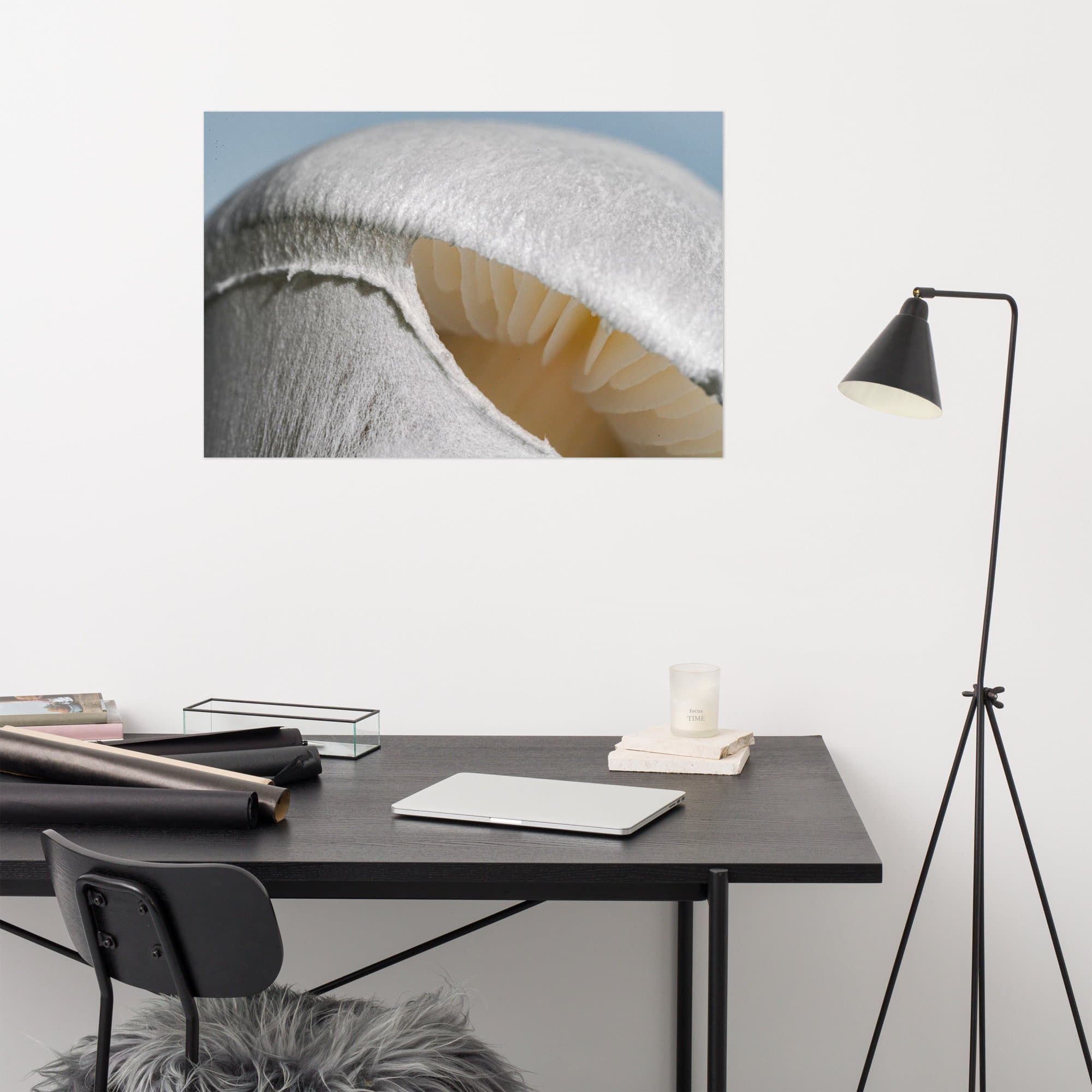 Exact Veiled Secrets — Mushroom’s Whisper product reference