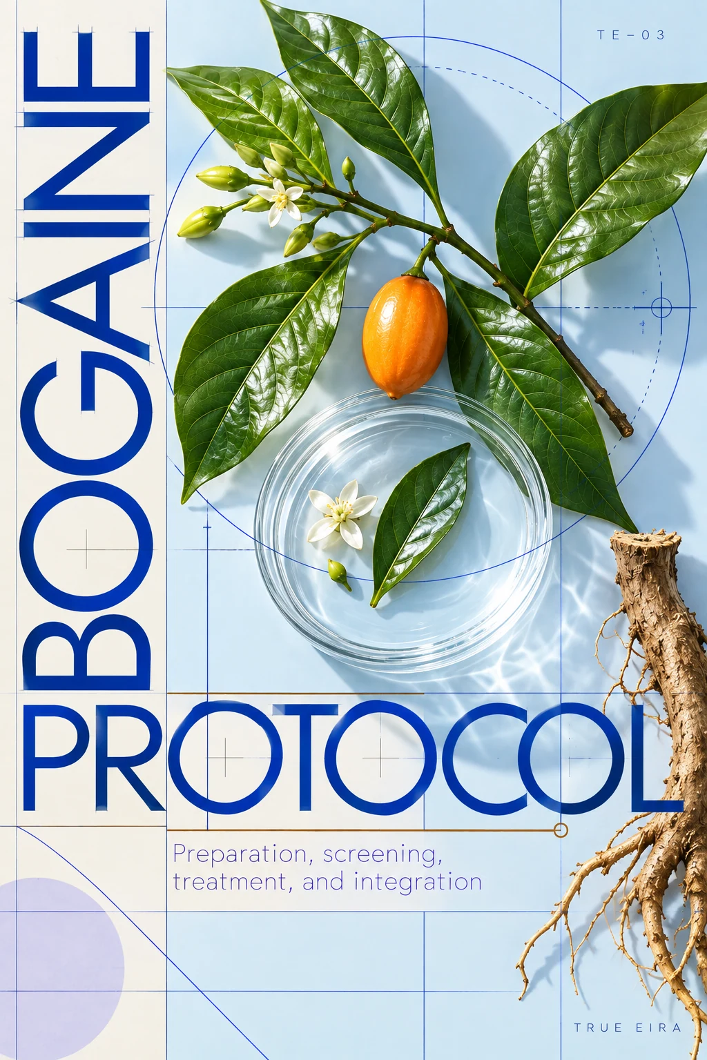 Ibogaine Protocol — cover design study