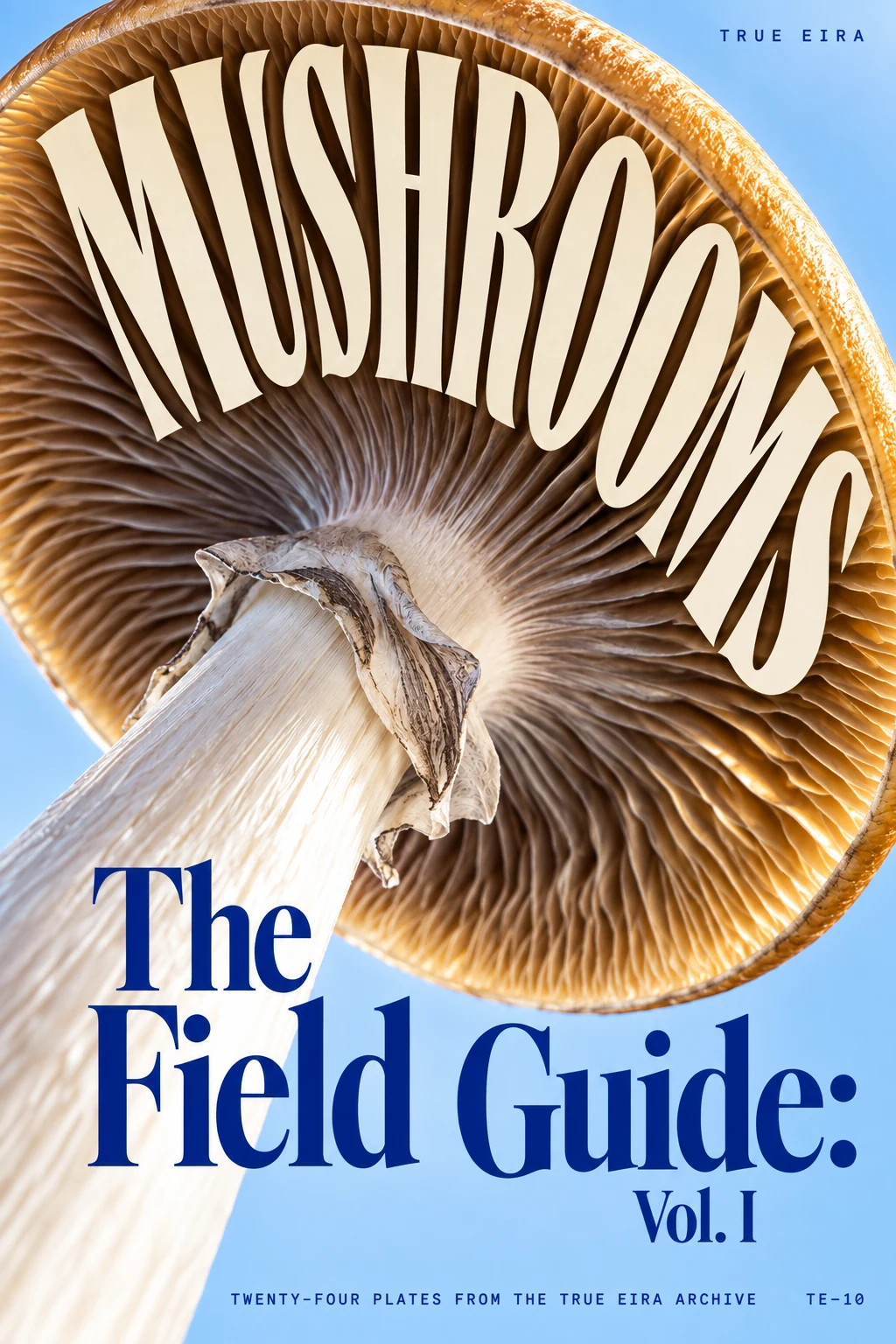 The Field Guide: Mushrooms, Vol. I — cover design study
