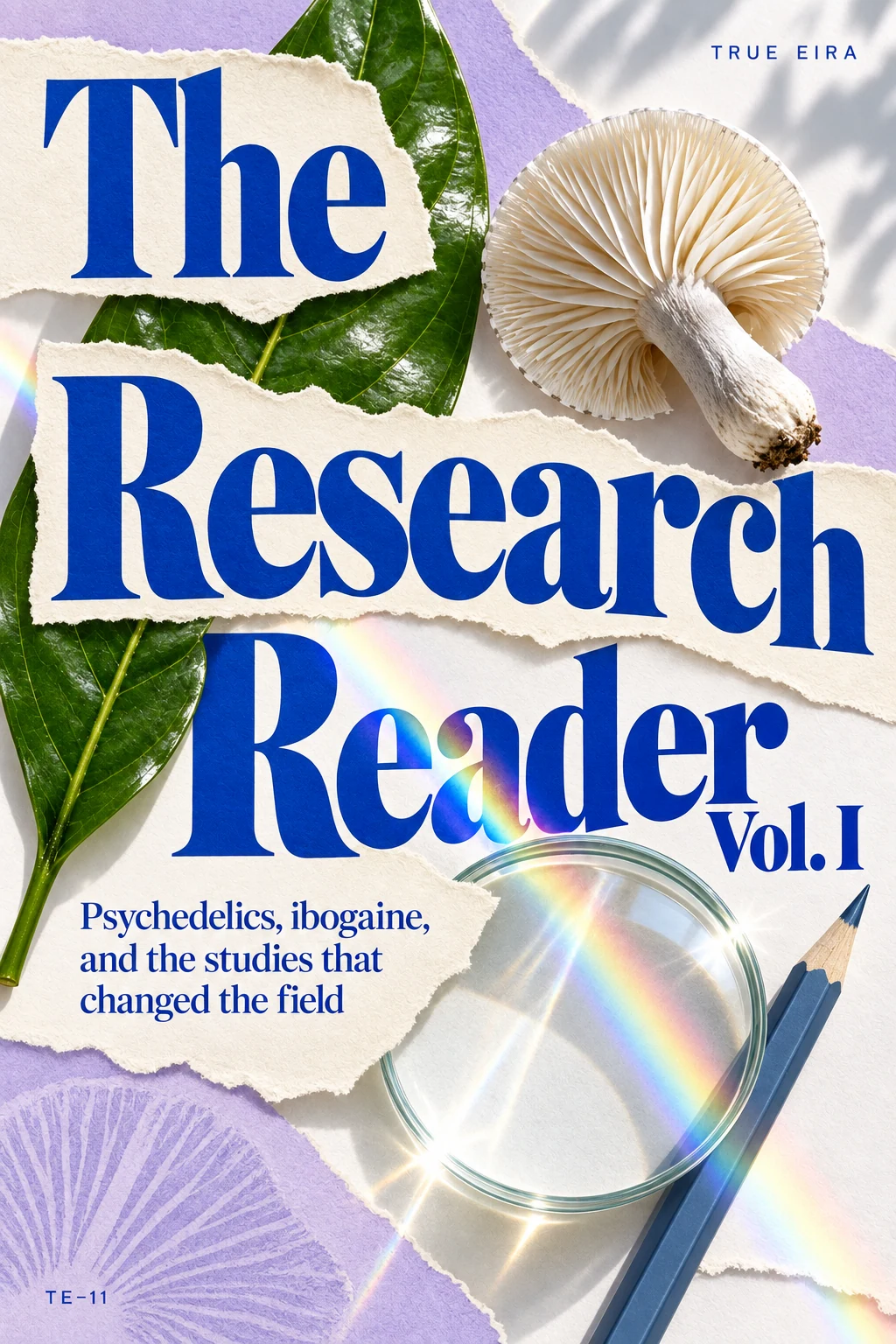 The Research Reader, Vol. I — cover design study
