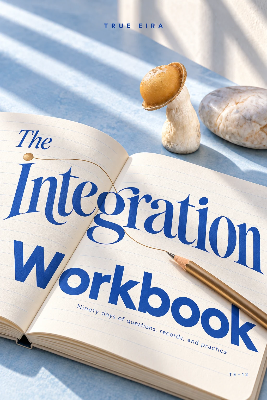 The Integration Workbook — cover design study