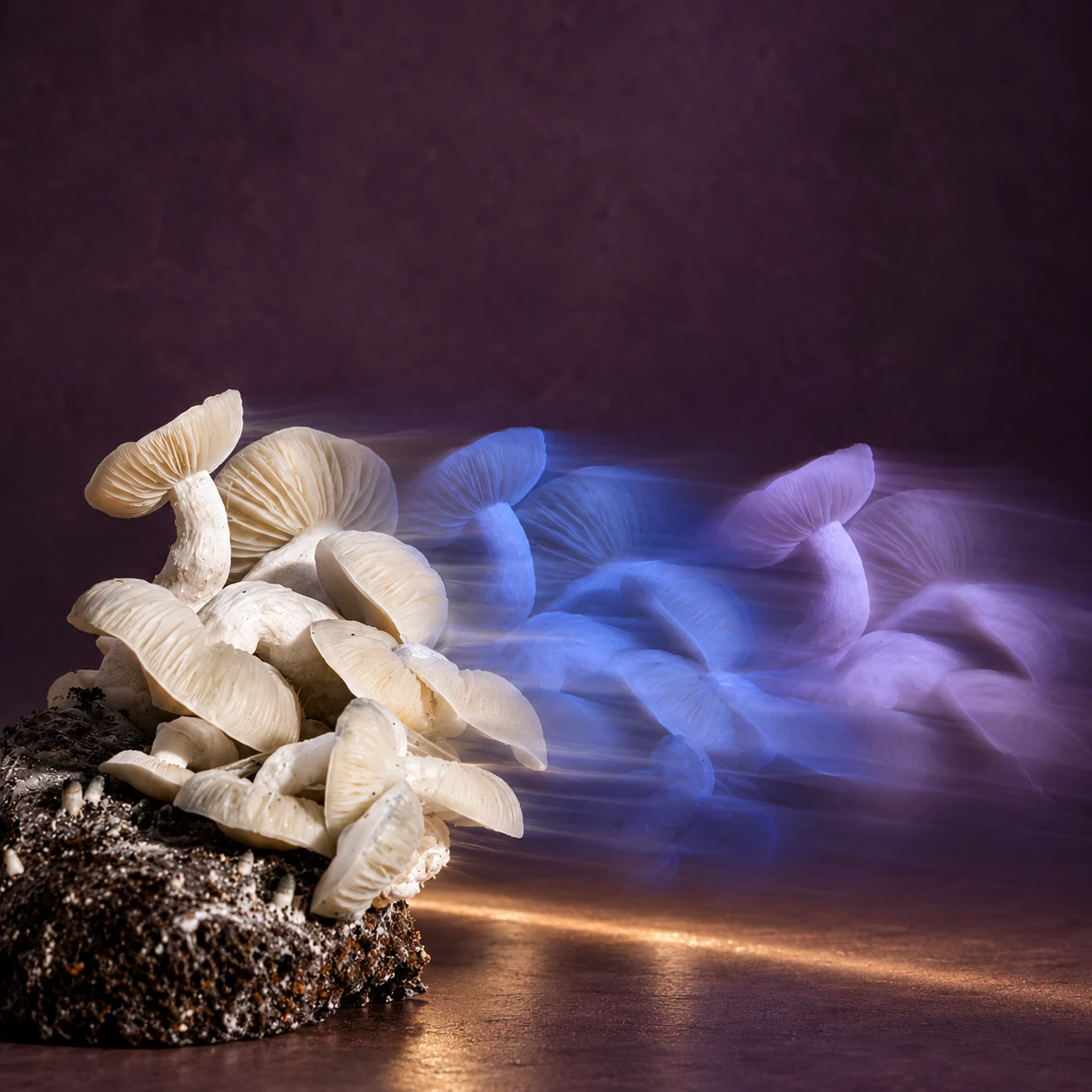 The violet interval — True Eira editorial artwork