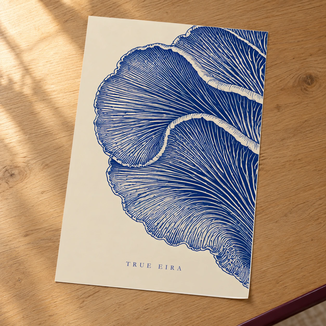 Cobalt Frill — another view
