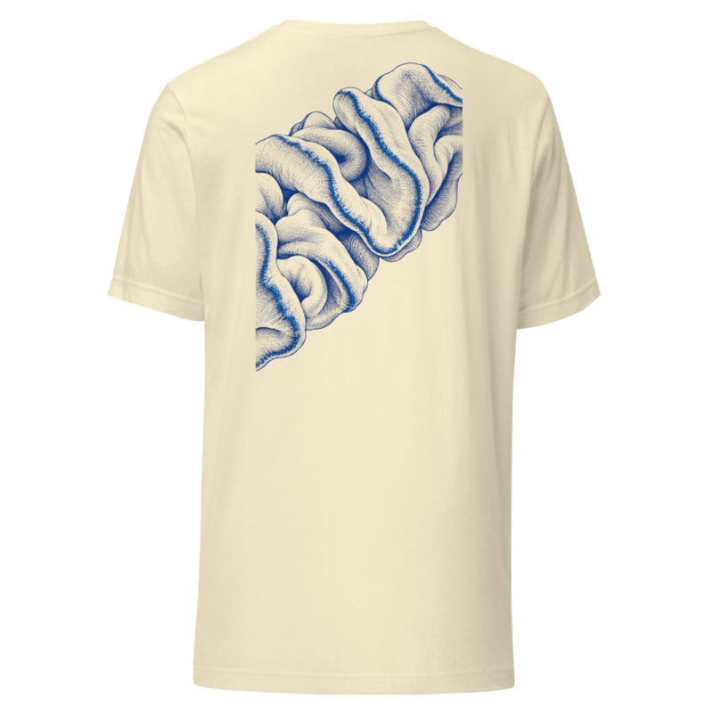 Cobalt Fold tee in Natural