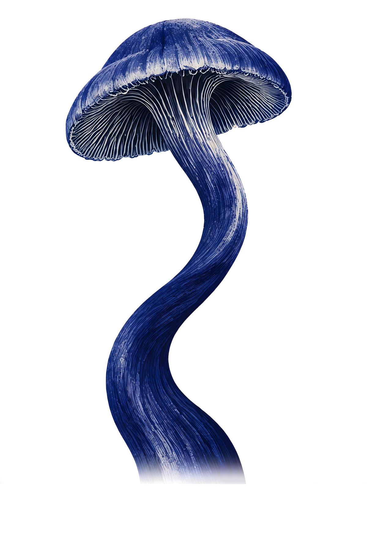 The actual artwork printed on Blue Wander tee