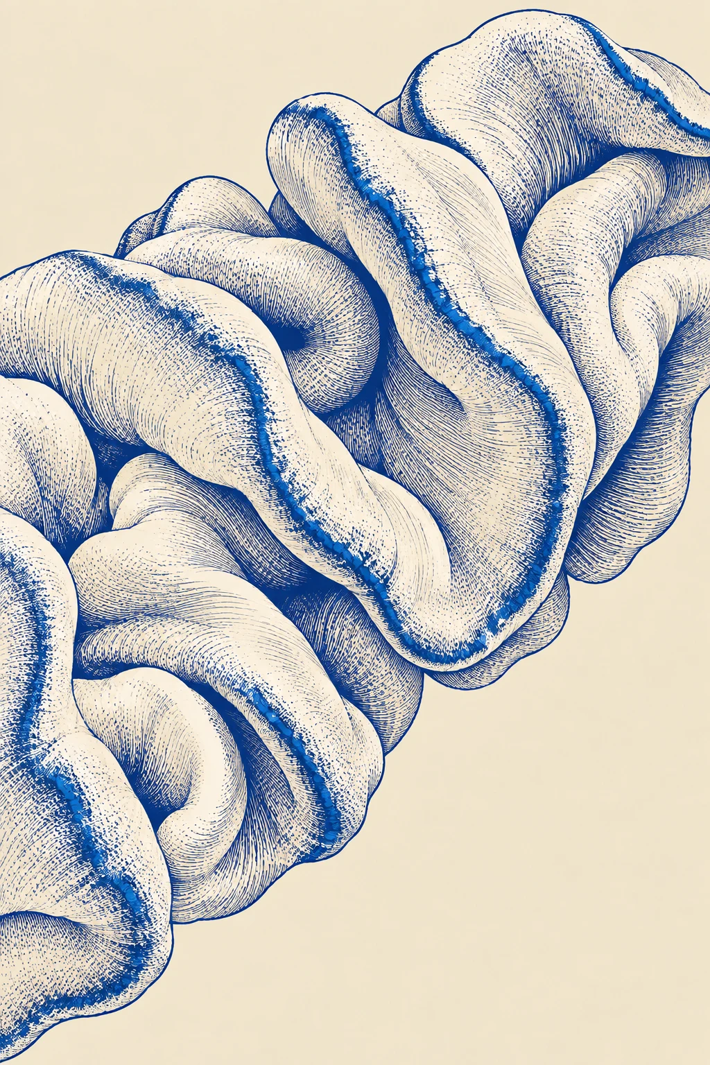 The actual artwork printed on Cobalt Fold framed print