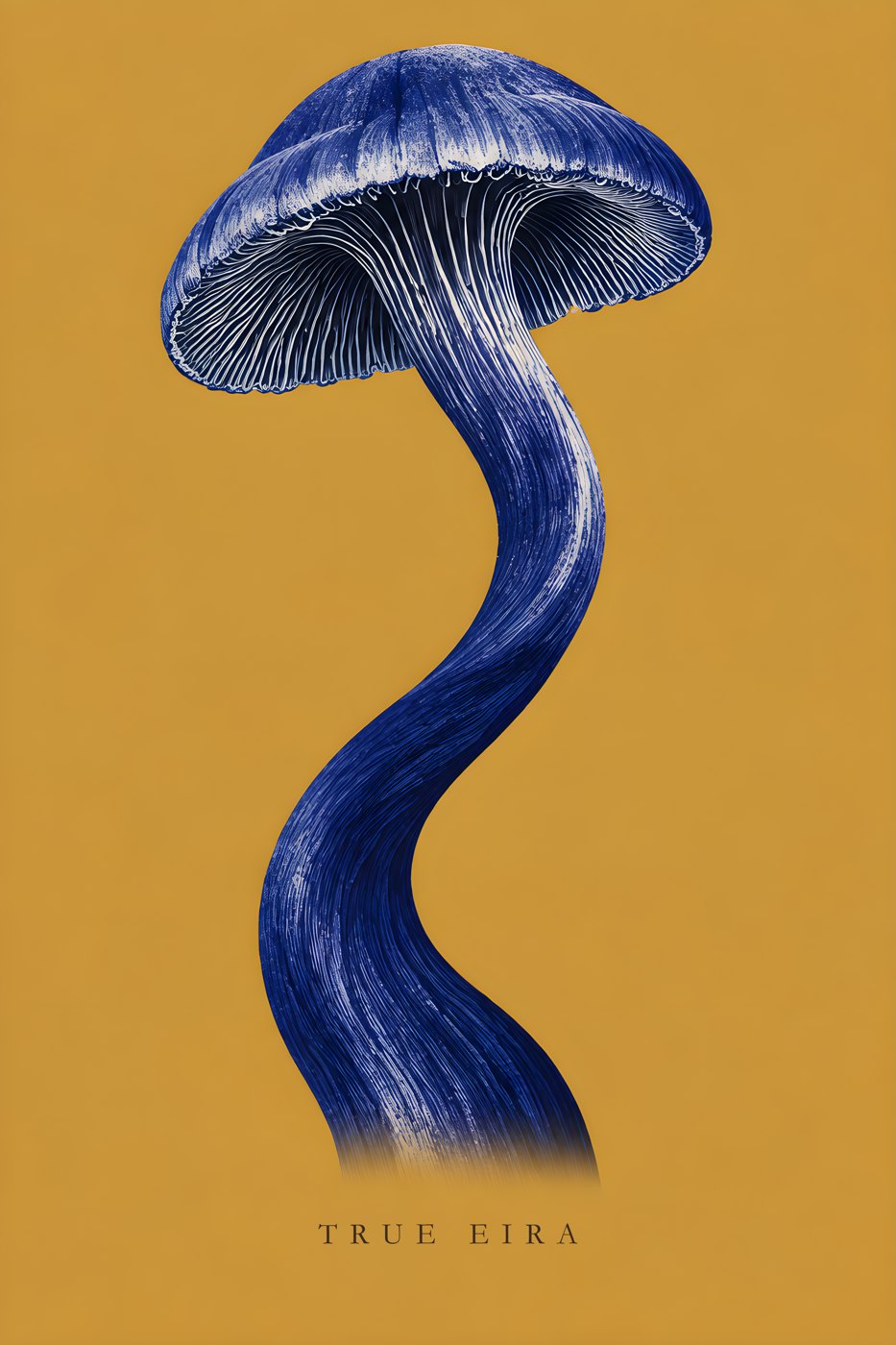 Blue Wander — complete print artwork