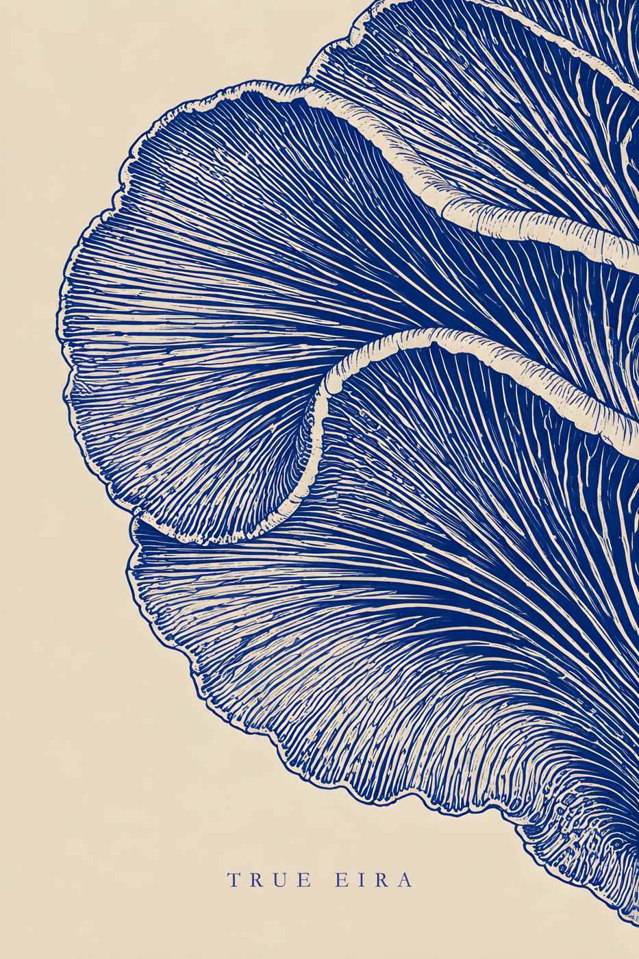 Cobalt Frill — complete print artwork