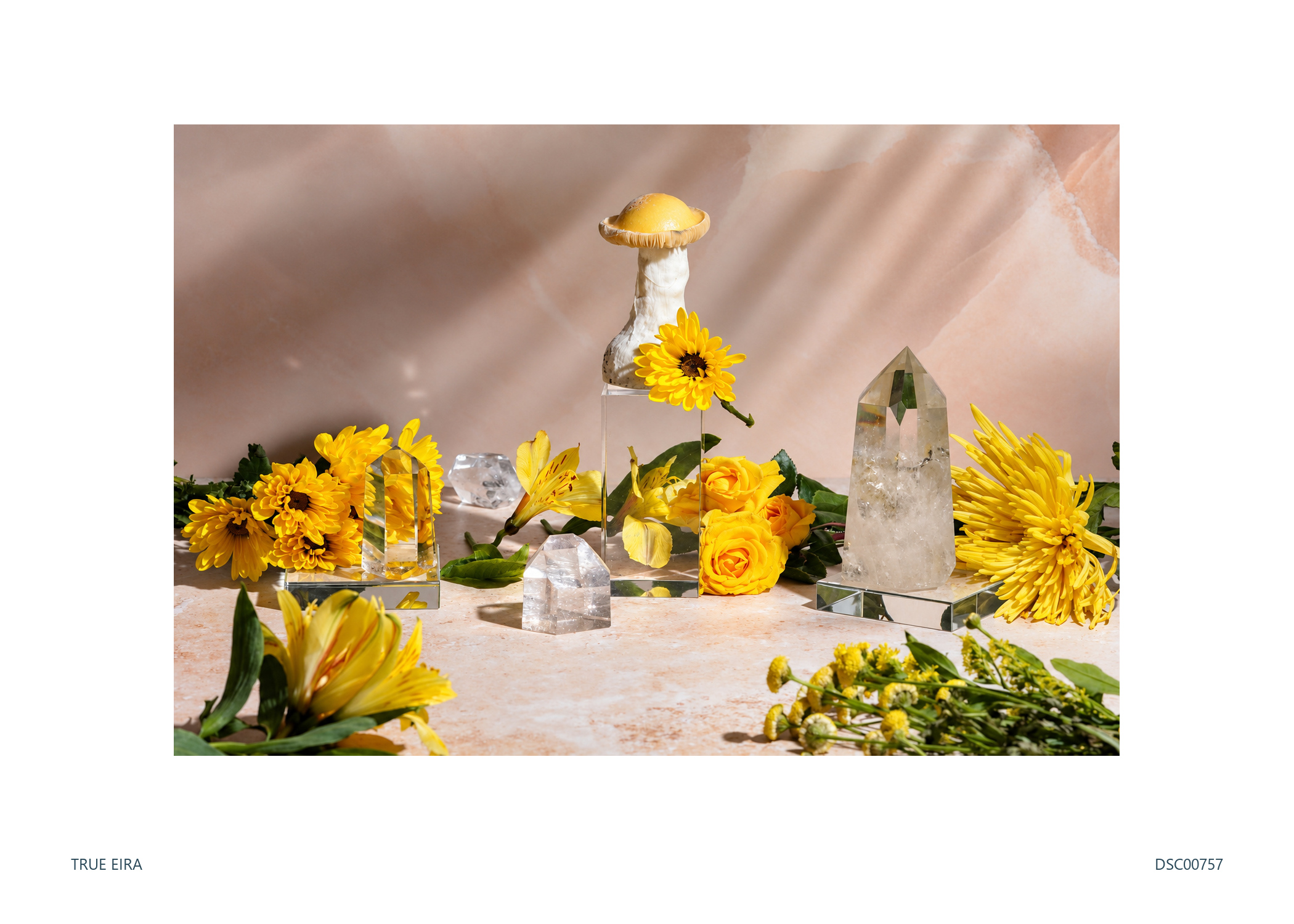 Print layout of Still life · DSC00757, with its white paper border