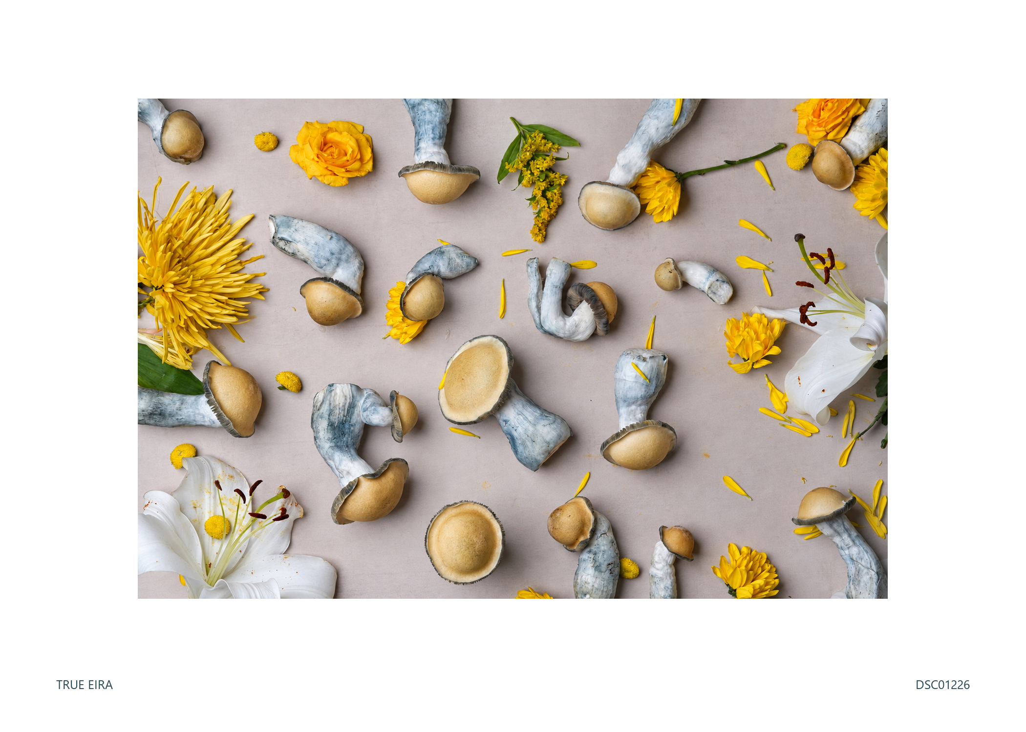 Print layout of Still life · DSC01226, with its white paper border