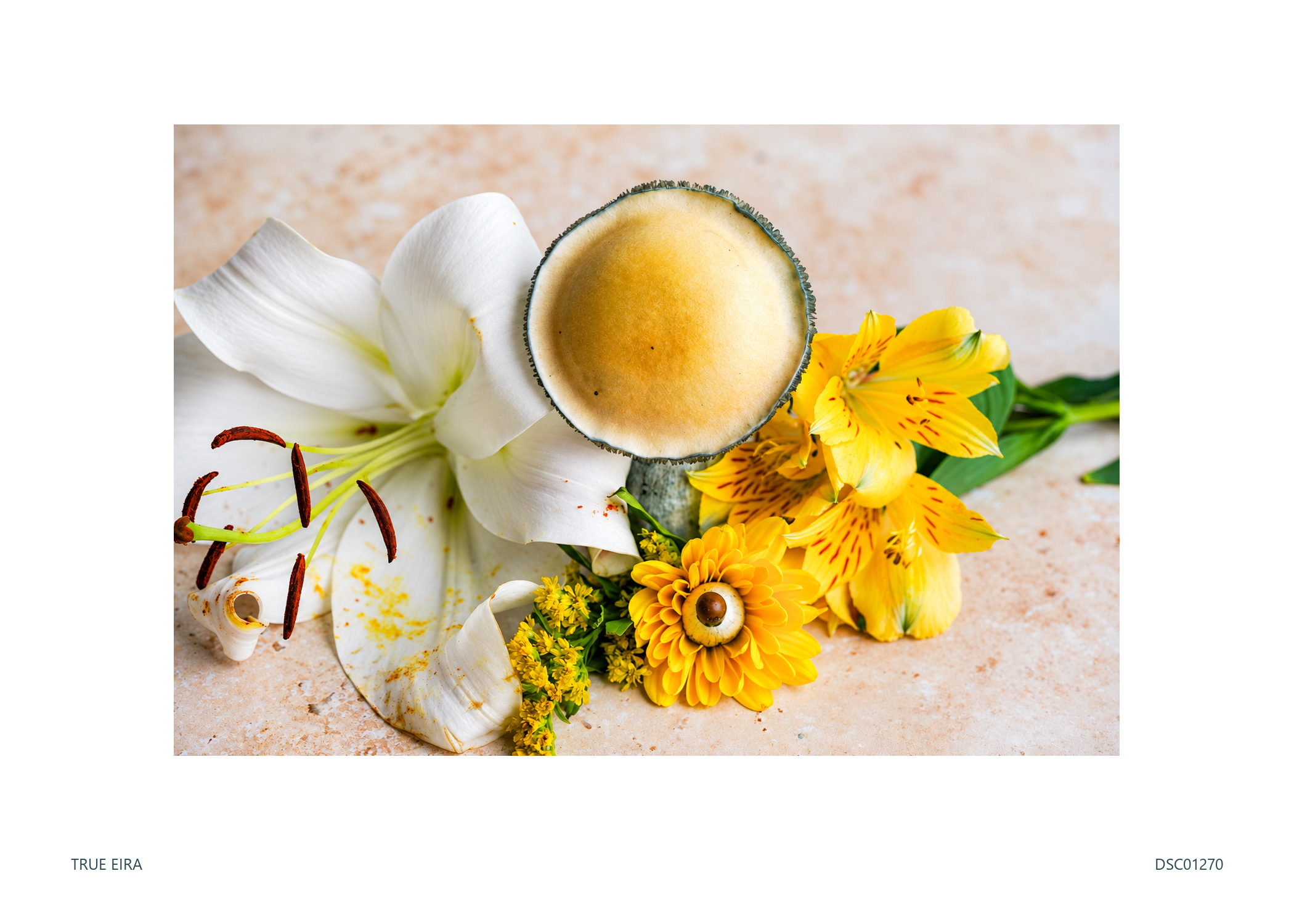 Print layout of Still life · DSC01270, with its white paper border