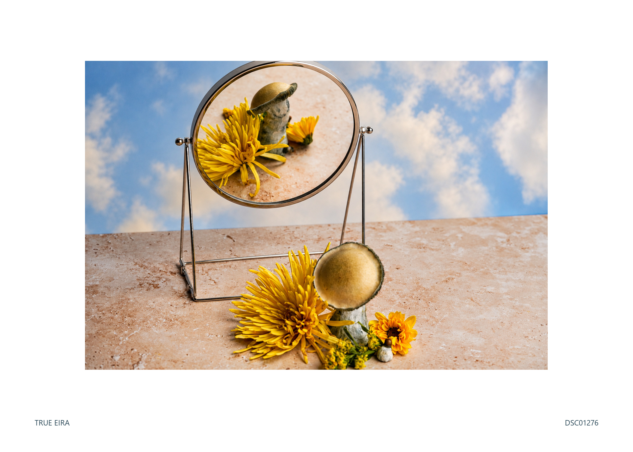 Print layout of Still life · DSC01276, with its white paper border