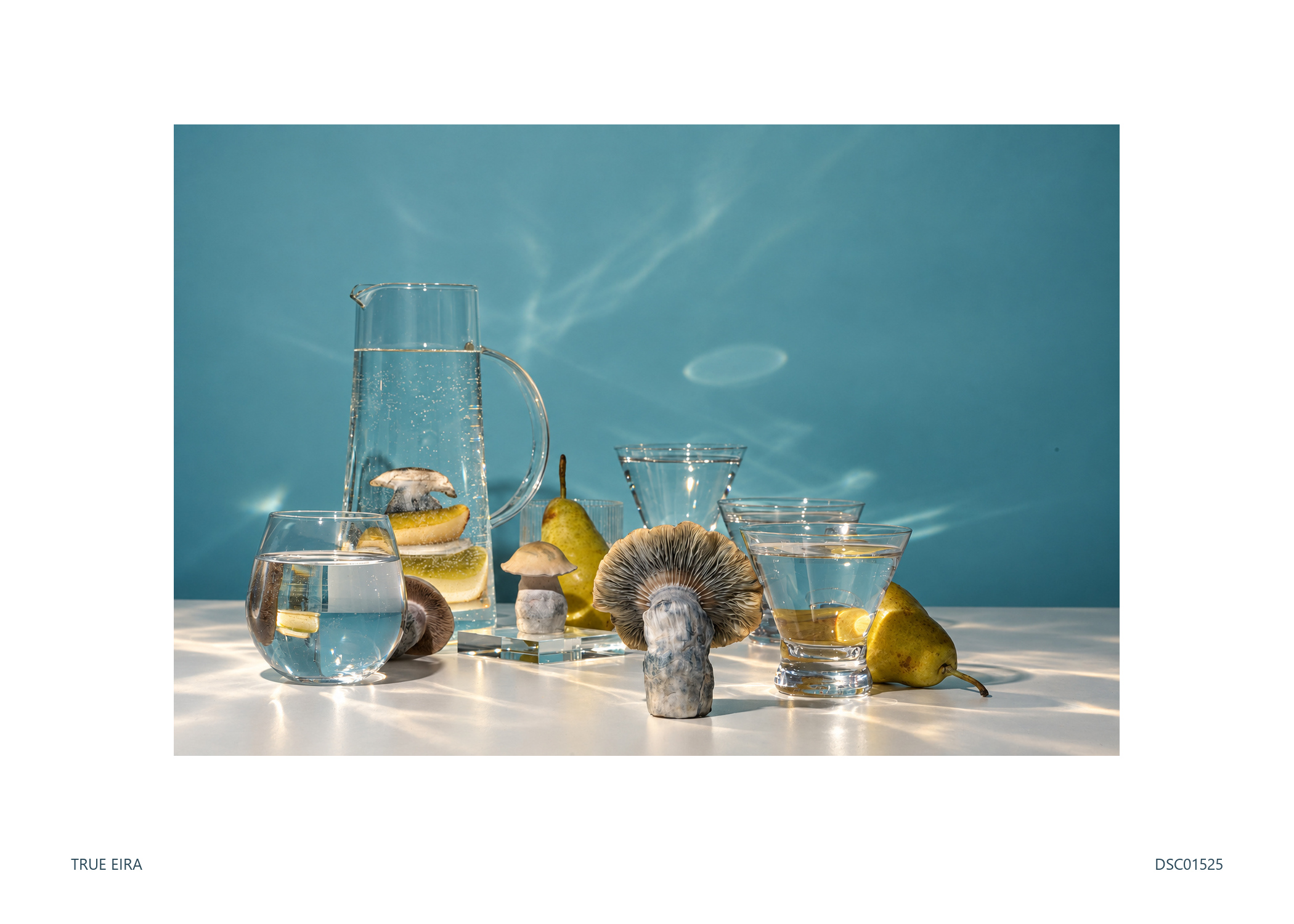 Print layout of Still life · DSC01525, with its white paper border