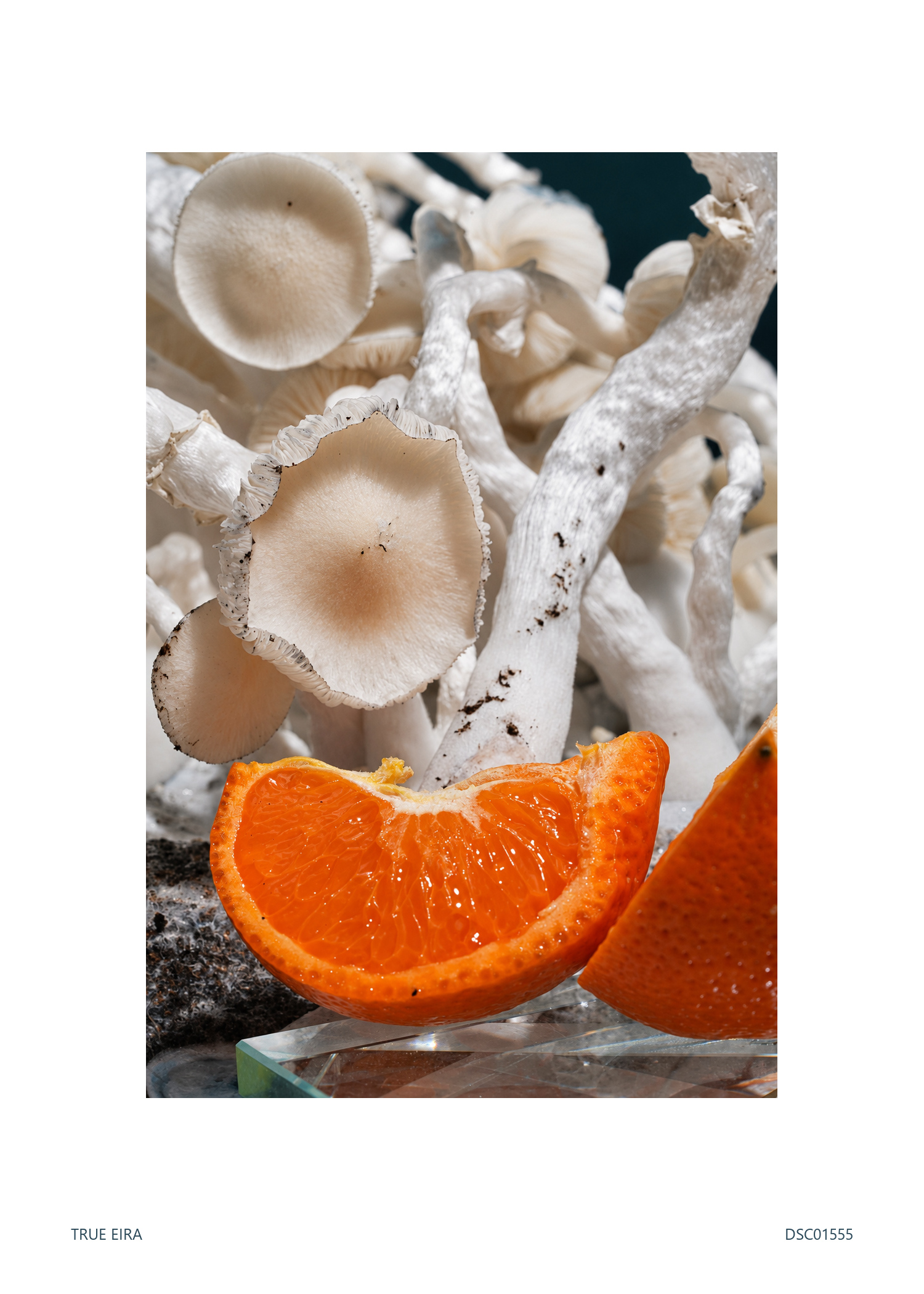 Print layout of Still life · DSC01555, with its white paper border