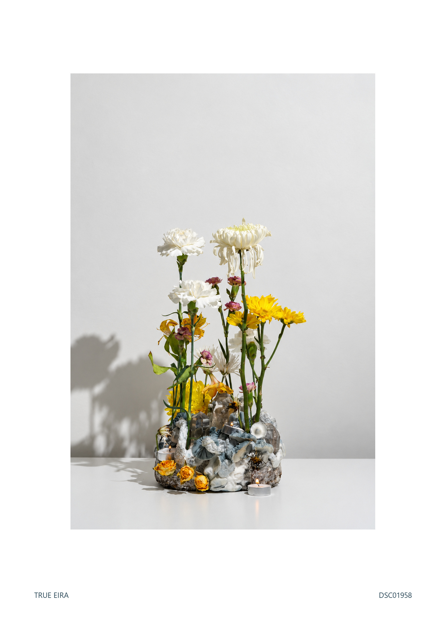 Print layout of Still life · DSC01958, with its white paper border