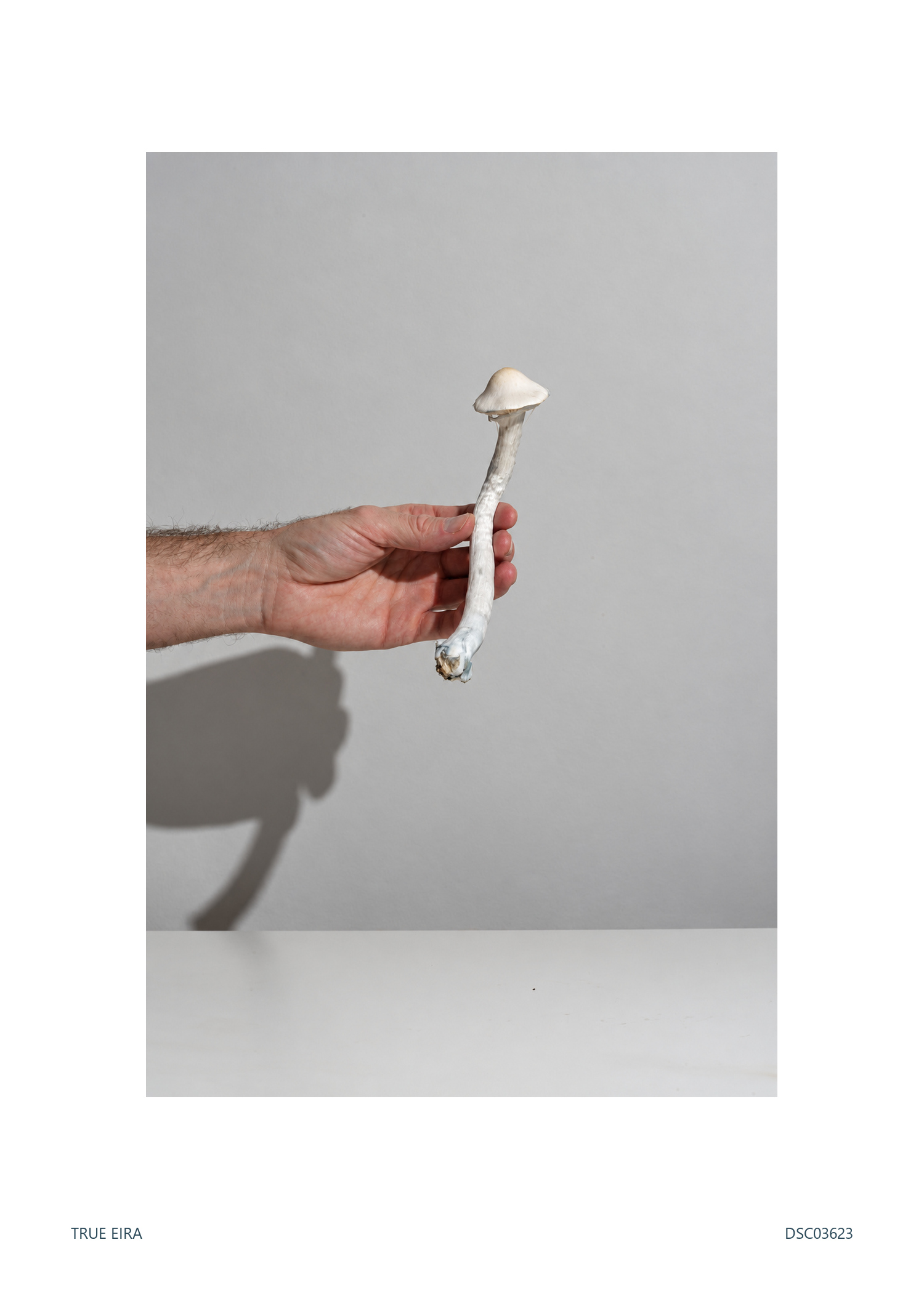 Print layout of Human scale · DSC03623, with its white paper border