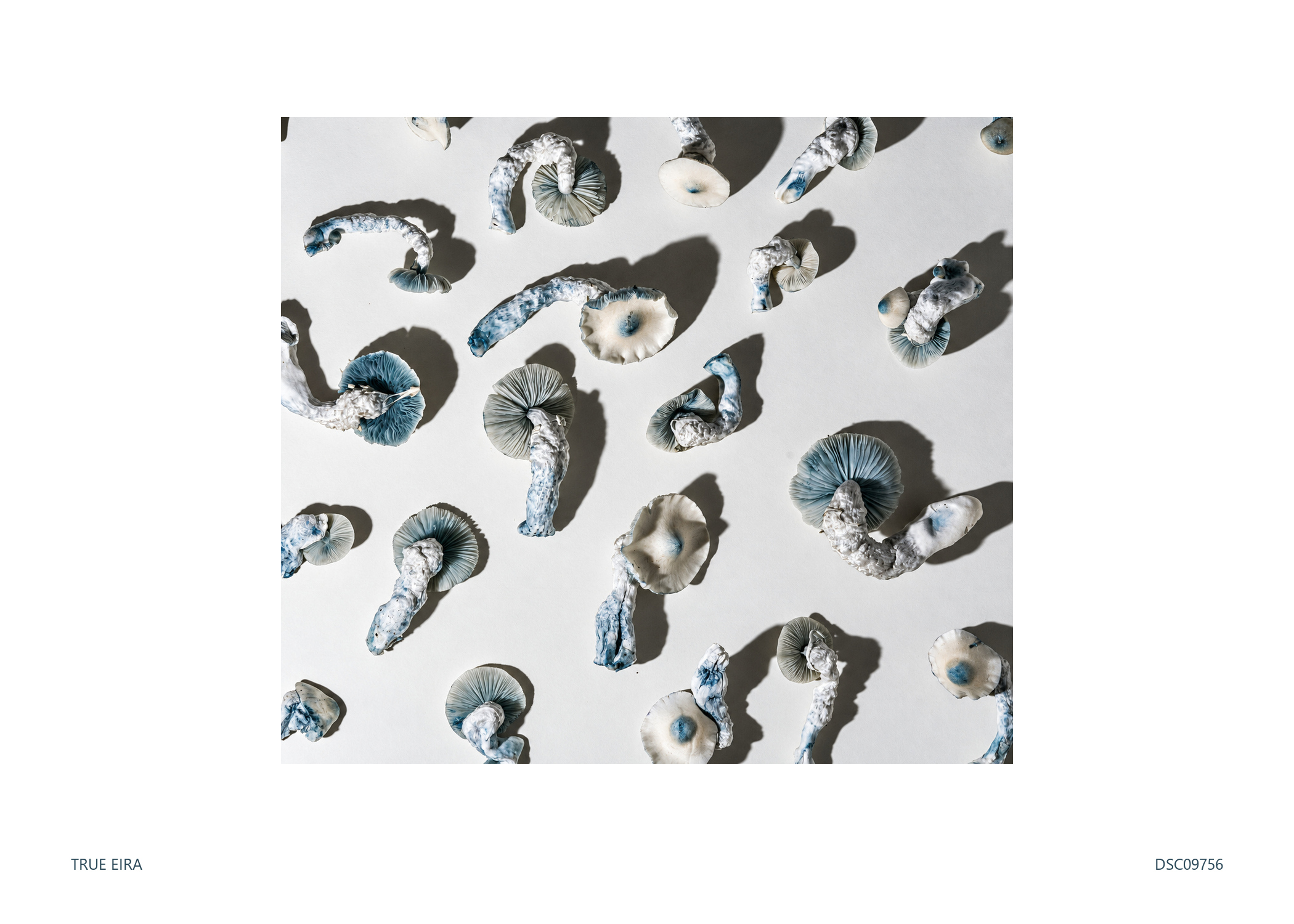 Print layout of Pattern · DSC09756, with its white paper border