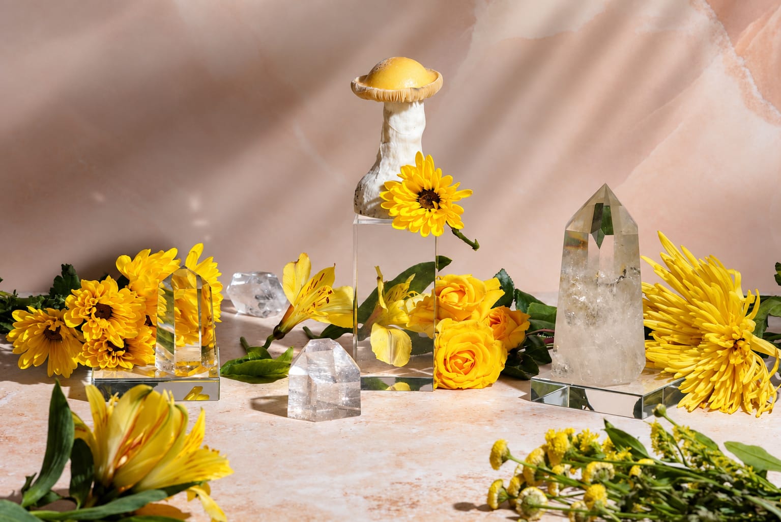 Still life, photograph from the True Eira archive