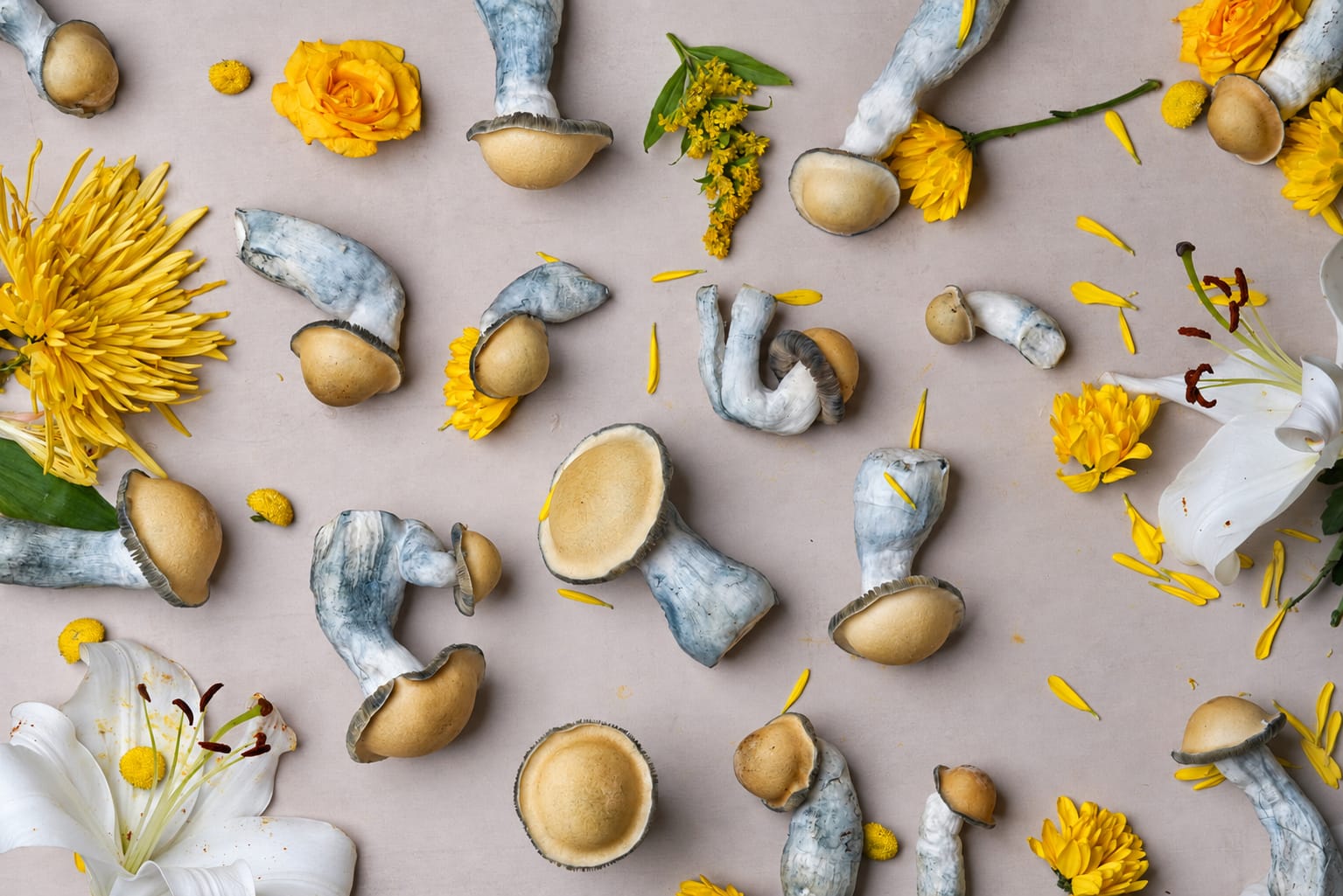 Still life, photograph from the True Eira archive
