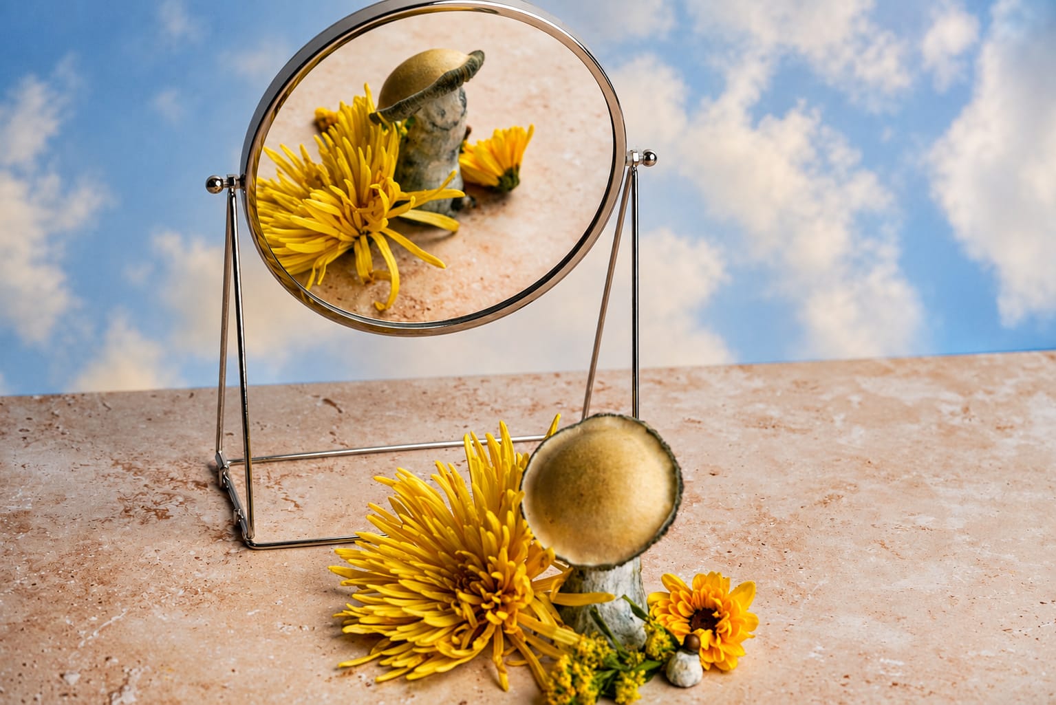 Still life, photograph from the True Eira archive