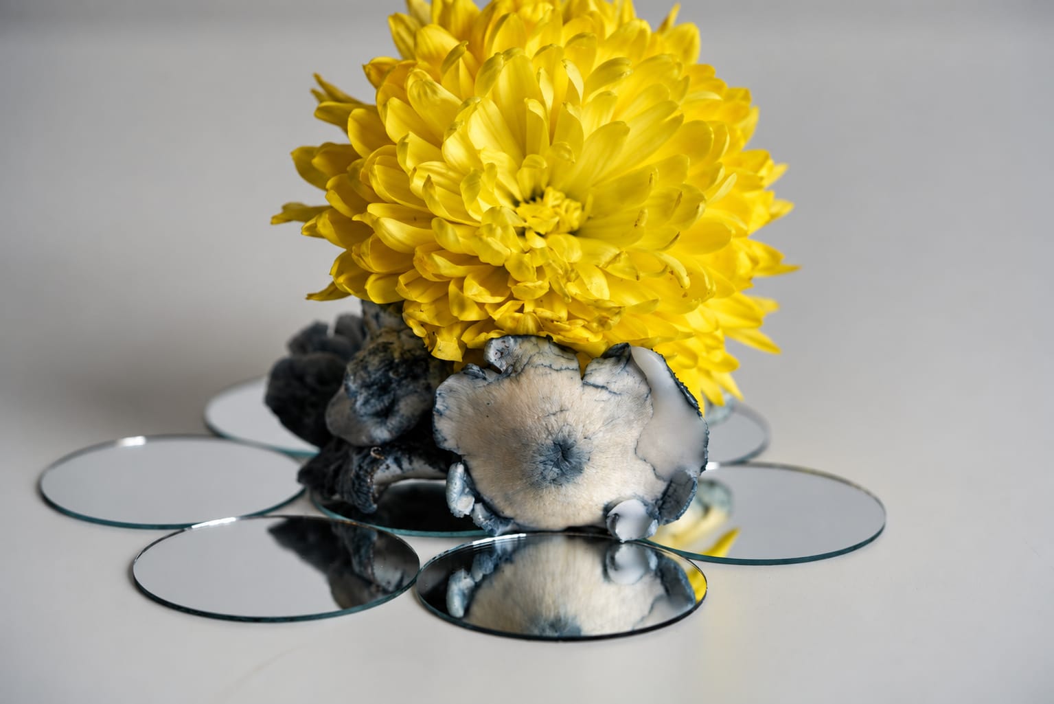 Still life, photograph from the True Eira archive