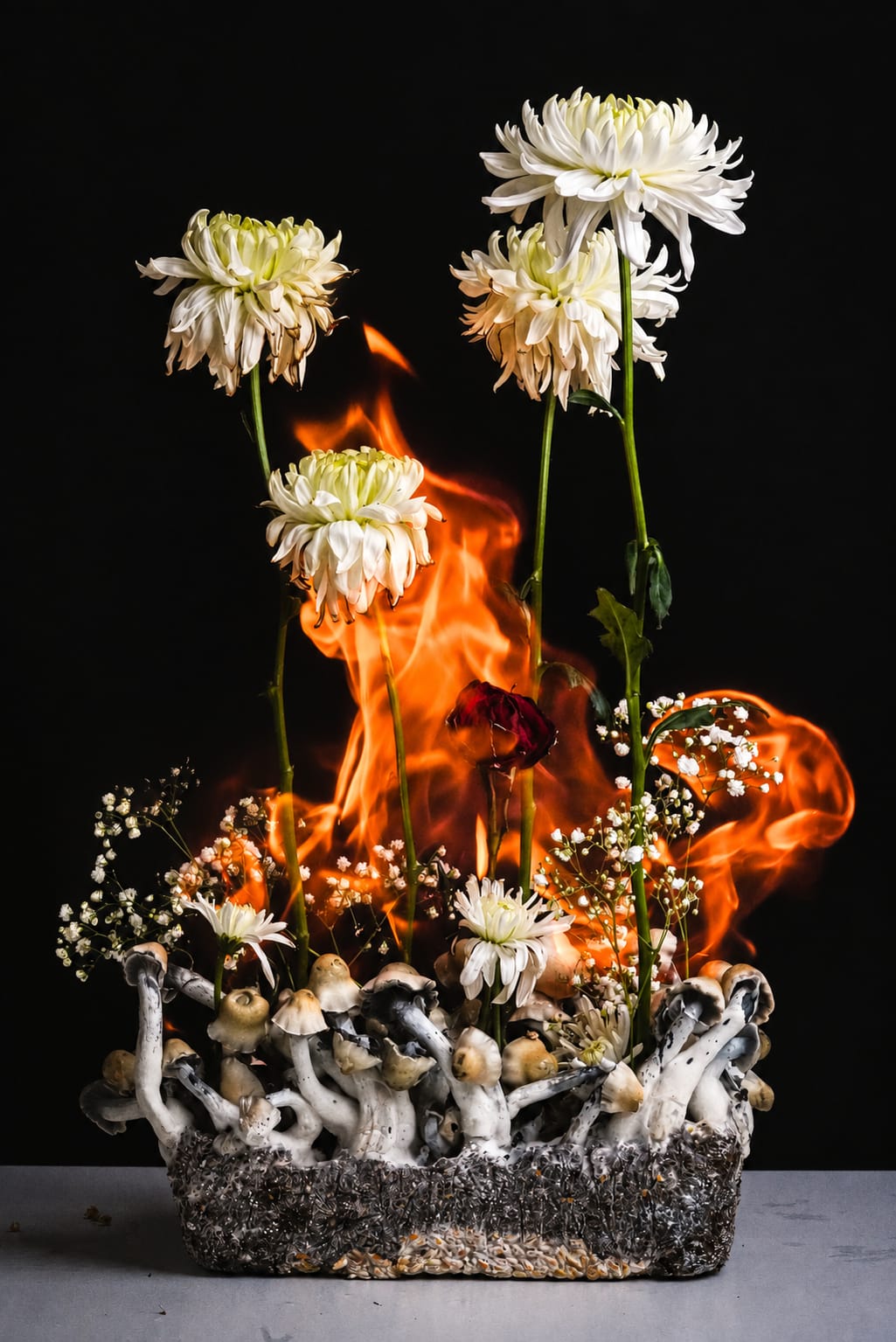 Still life, photograph from the True Eira archive
