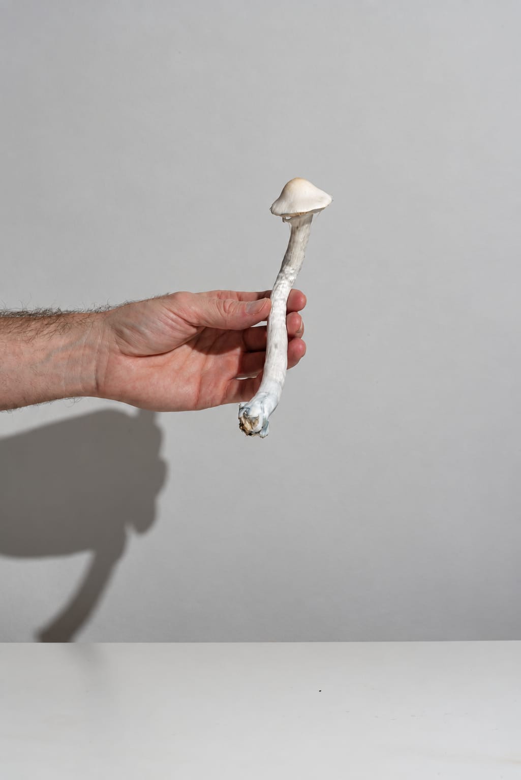 Human scale, photograph from the True Eira archive