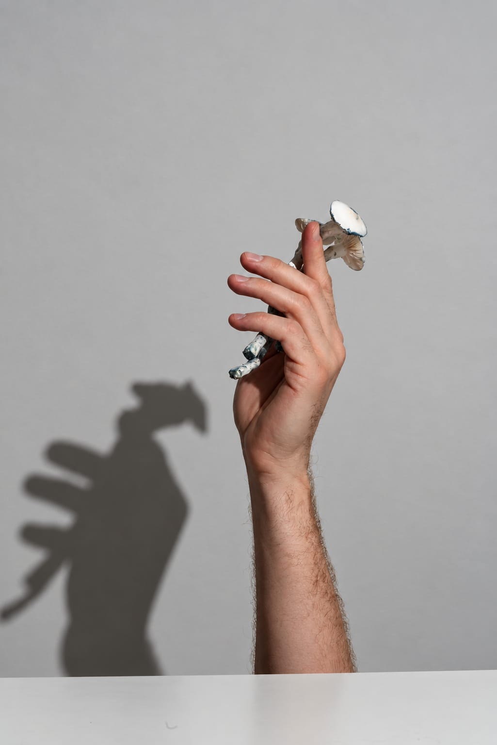 Human scale, photograph from the True Eira archive