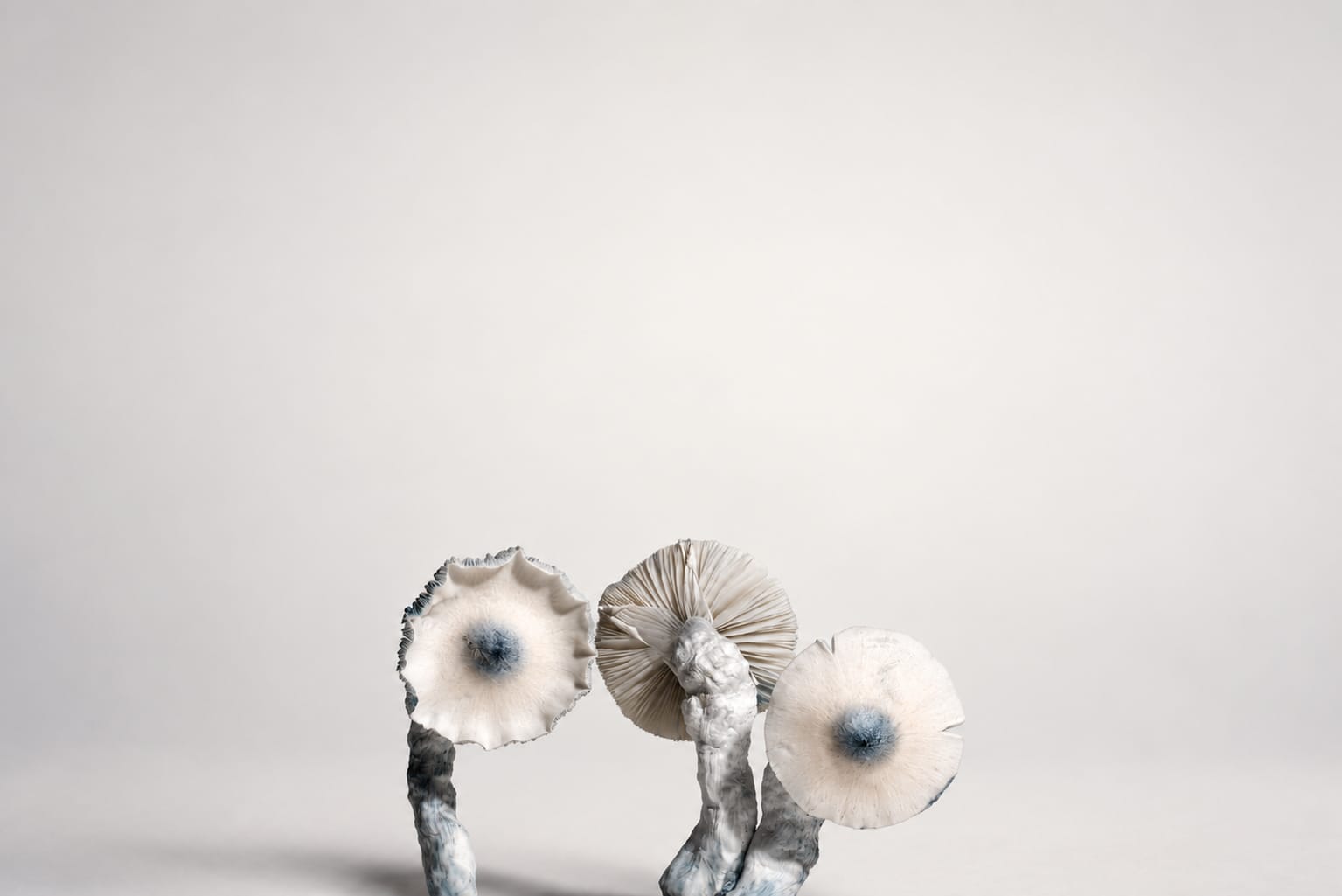 Cluster, photograph from the True Eira archive