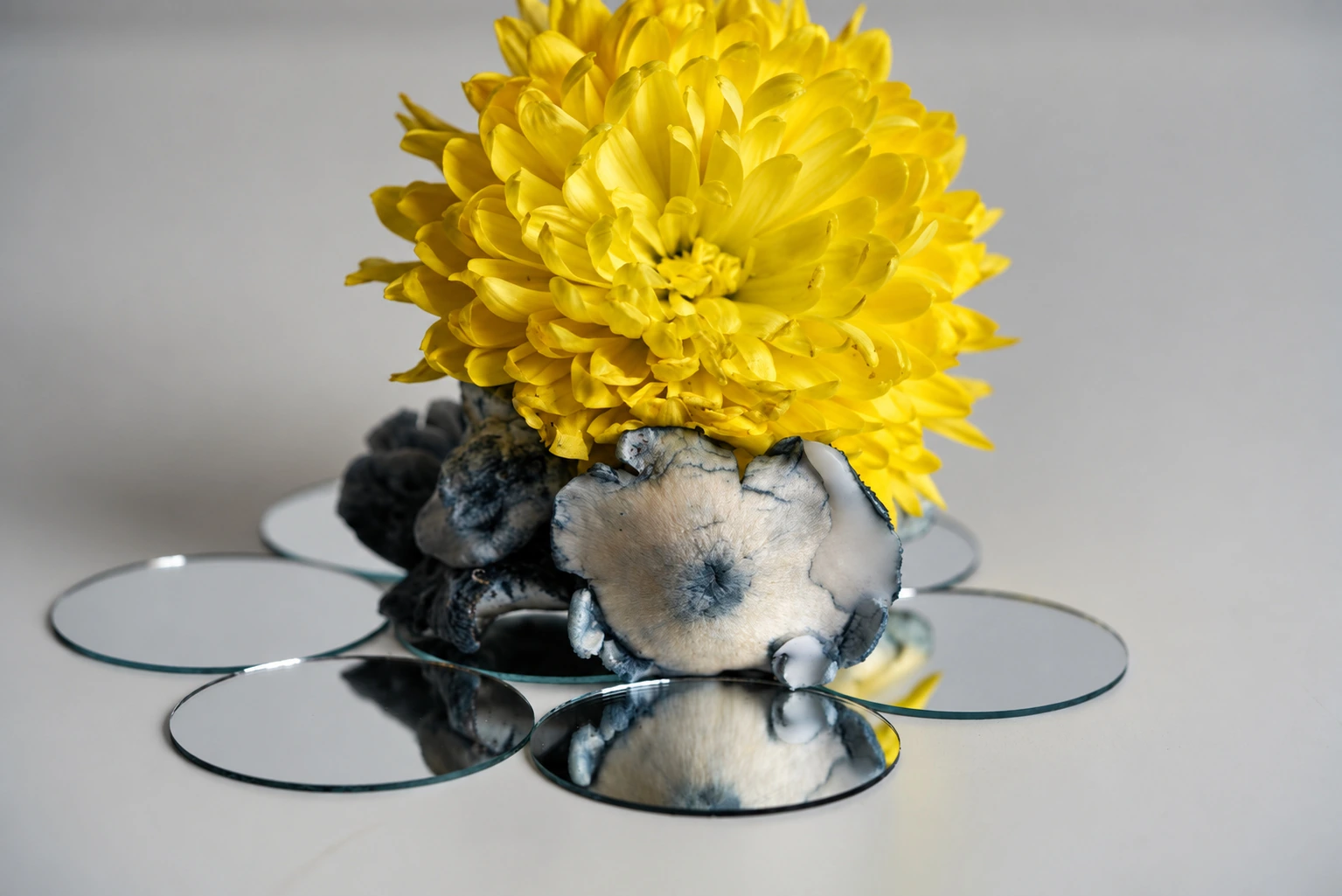 Still life, photograph from the True Eira archive