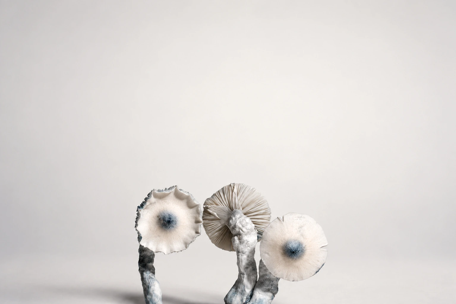 Cluster, photograph from the True Eira archive