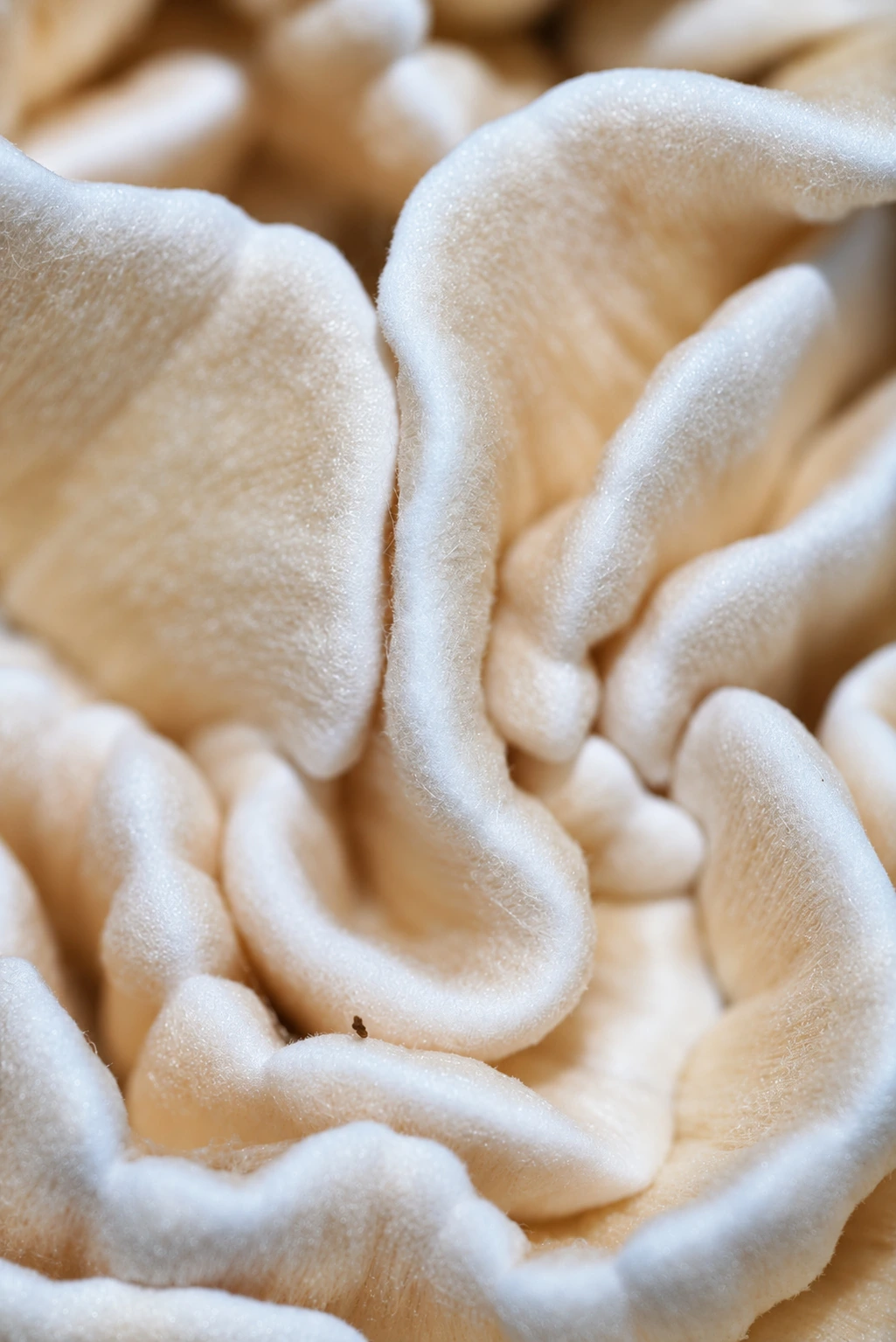 Texture study, photograph from the True Eira archive